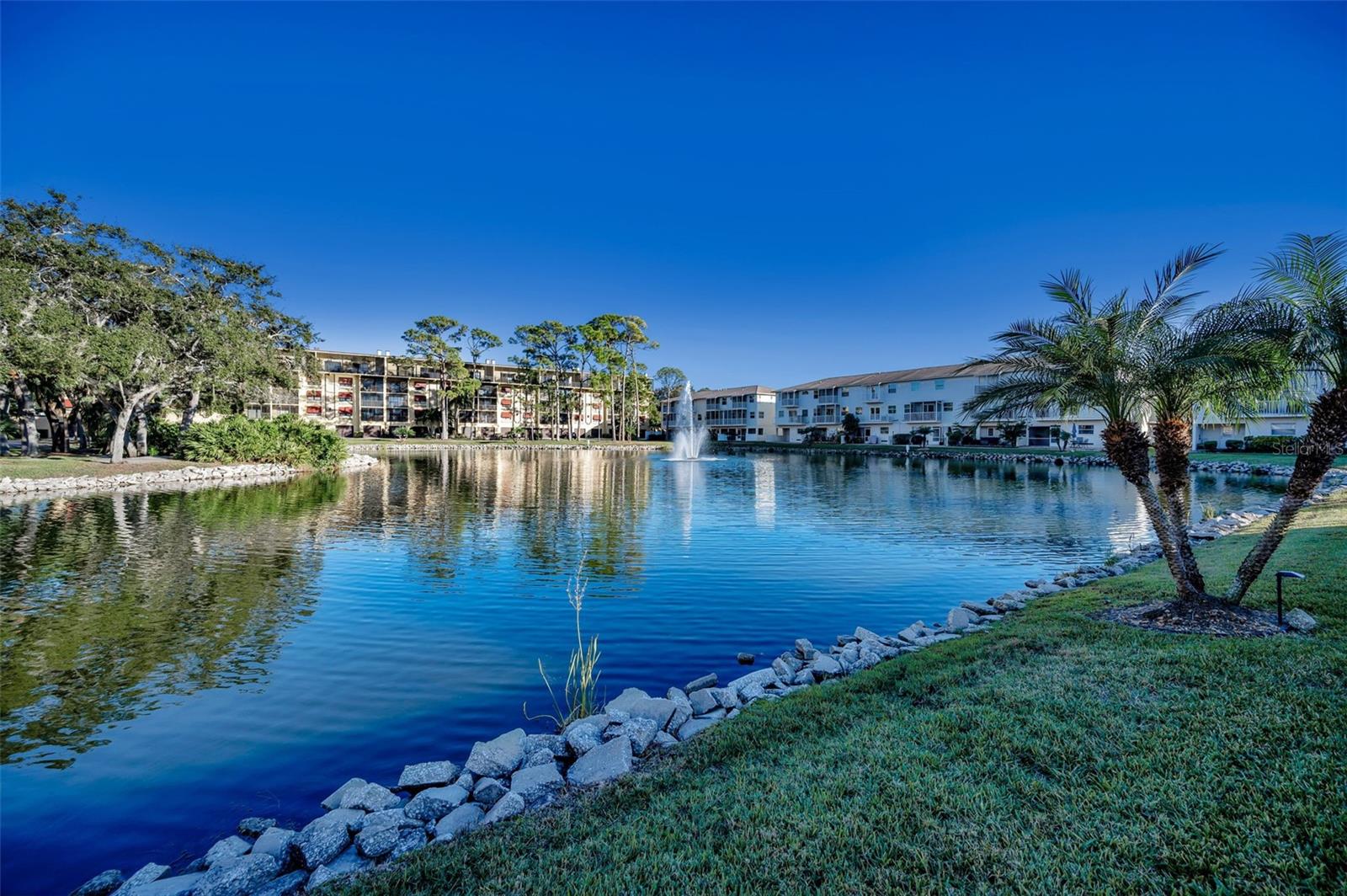 5775 PARK ST N #211, ST PETERSBURG, FL, 33709