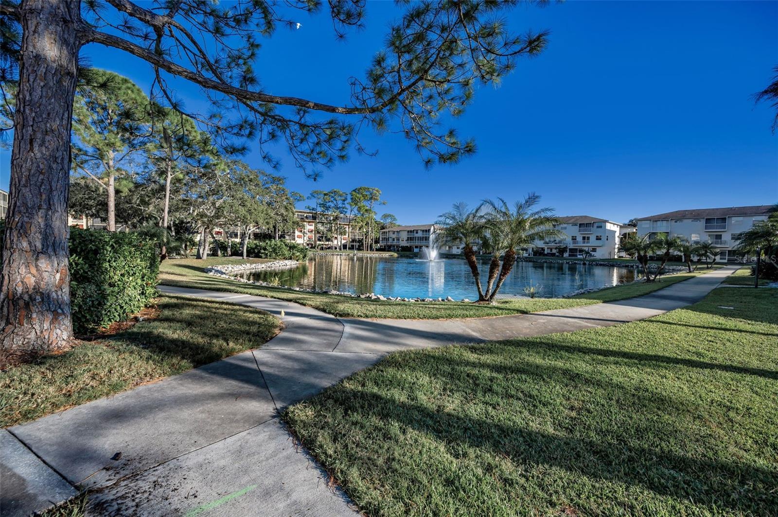 5775 PARK ST N #211, ST PETERSBURG, FL, 33709