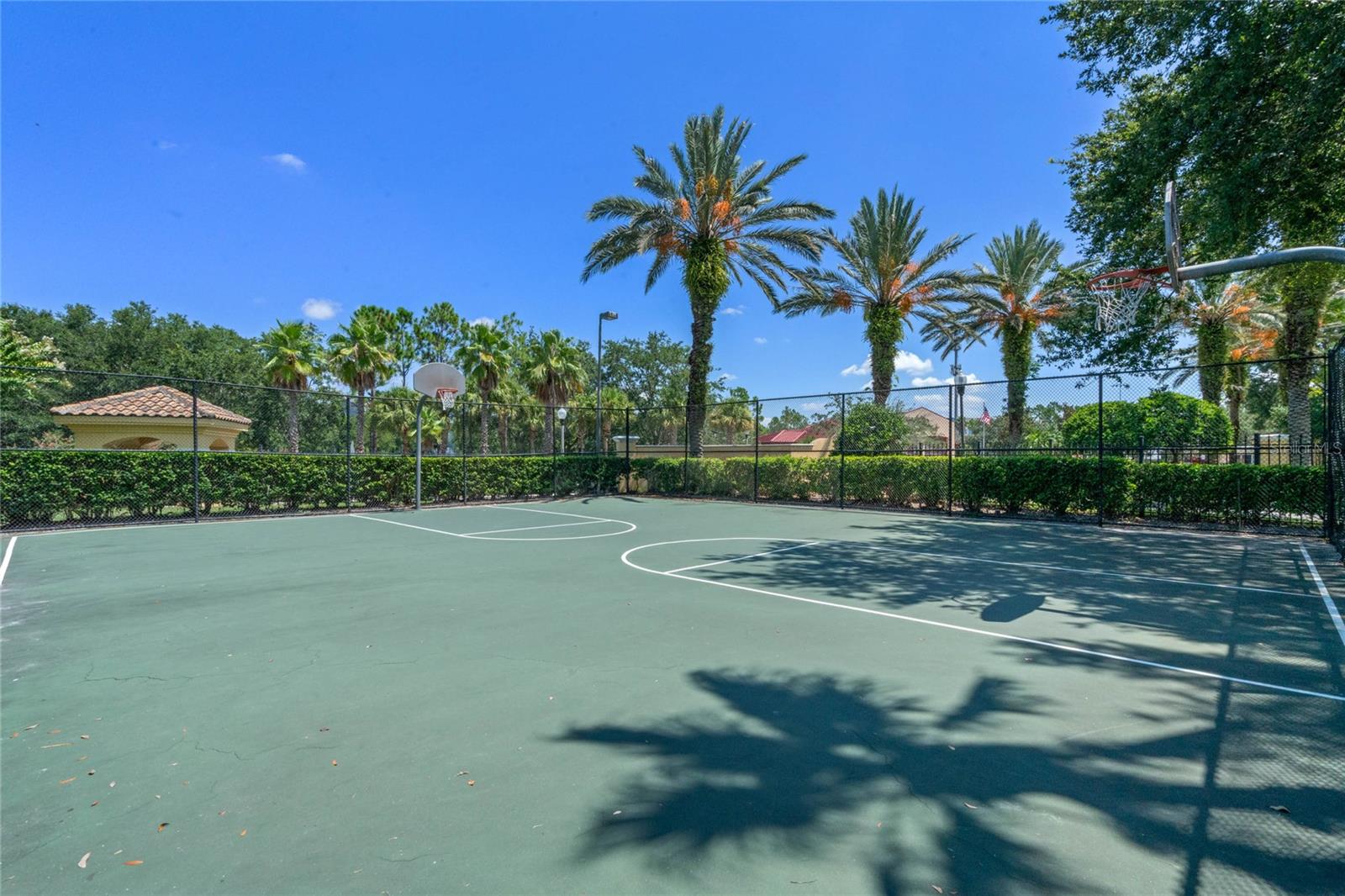 1175 LAKE SHADOW CIR #4308, MAITLAND, FL, 32751