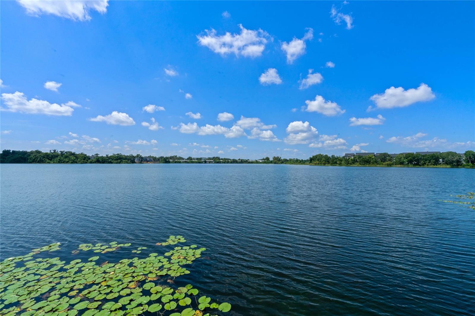 1175 LAKE SHADOW CIR #4308, MAITLAND, FL, 32751