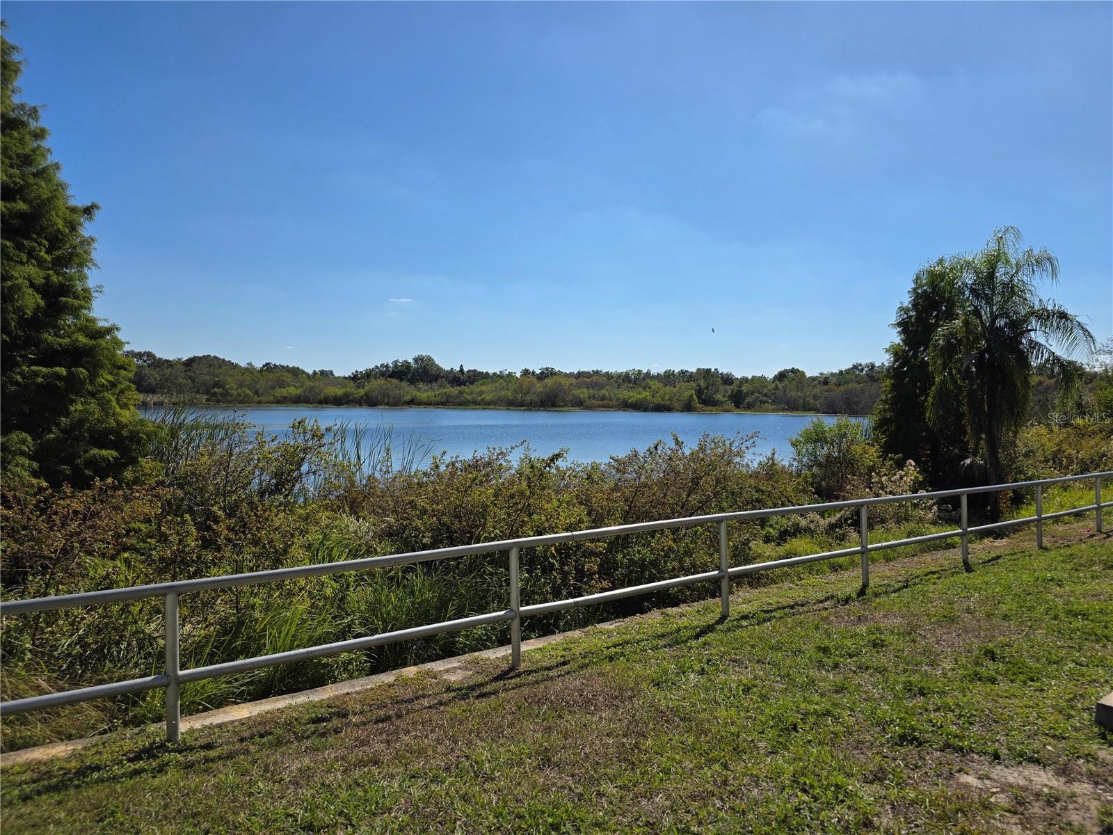 2484 LAKE WOODBERRY CIR, BRANDON, FL, 33510