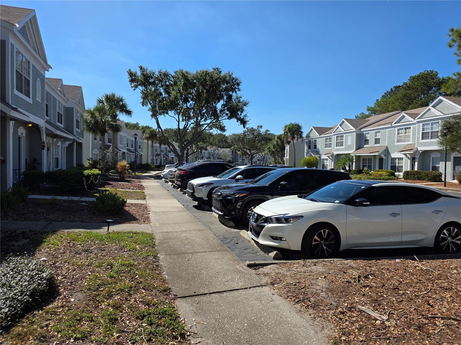 2484 LAKE WOODBERRY CIR, BRANDON, FL, 33510