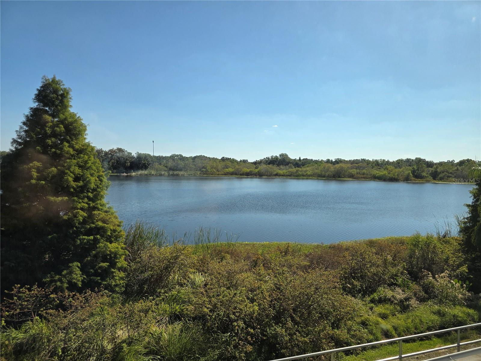 2484 LAKE WOODBERRY CIR, BRANDON, FL, 33510