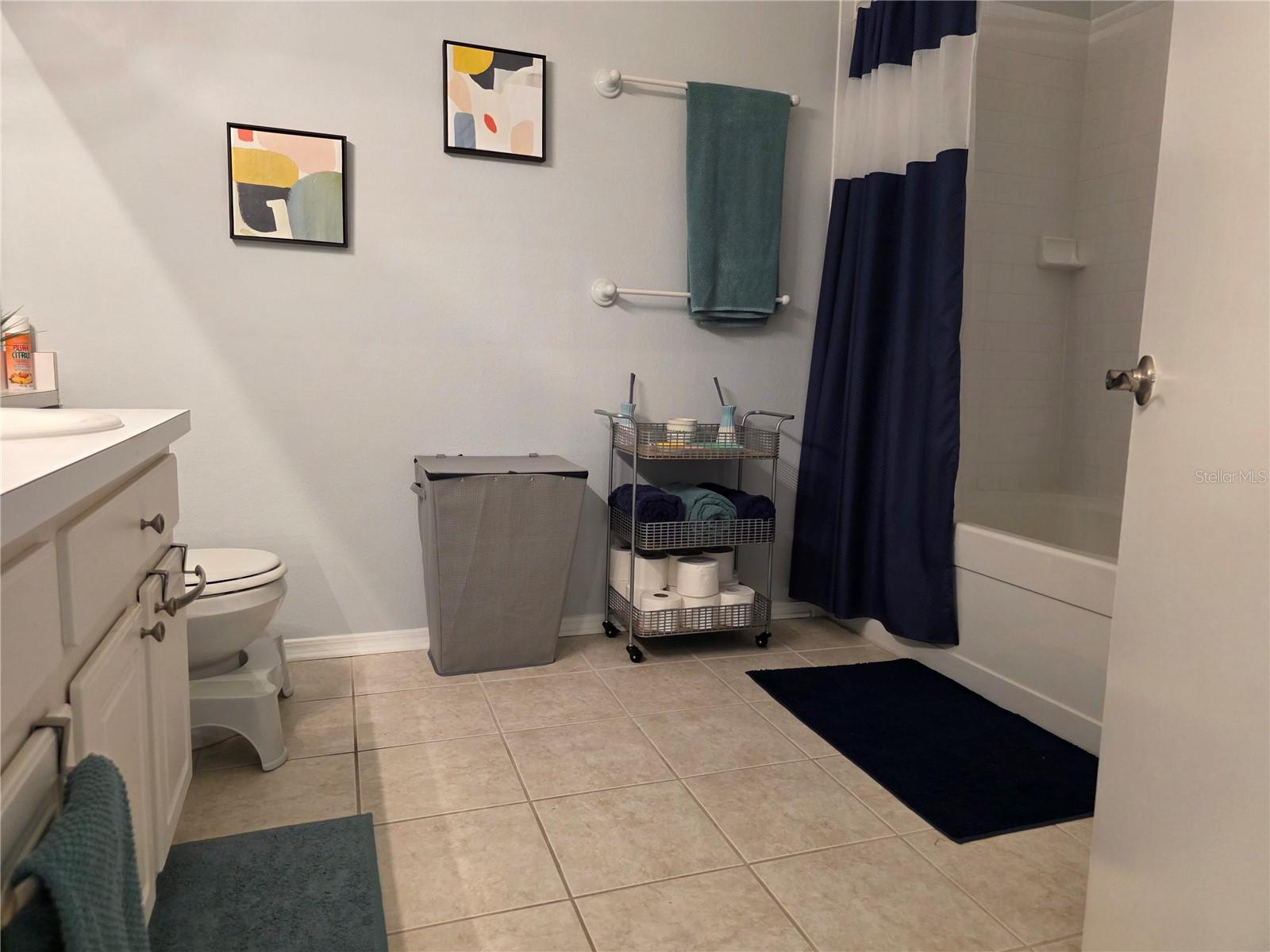 2484 LAKE WOODBERRY CIR, BRANDON, FL, 33510