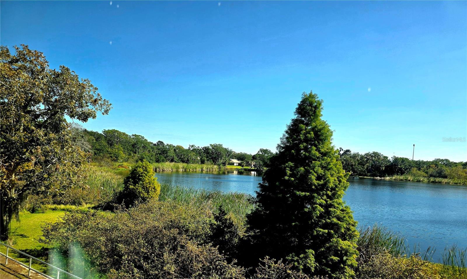 2484 LAKE WOODBERRY CIR, BRANDON, FL, 33510