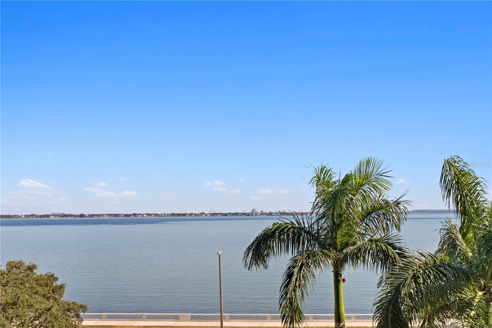 3301 BAYSHORE BLVD #604D, TAMPA, FL, 33629