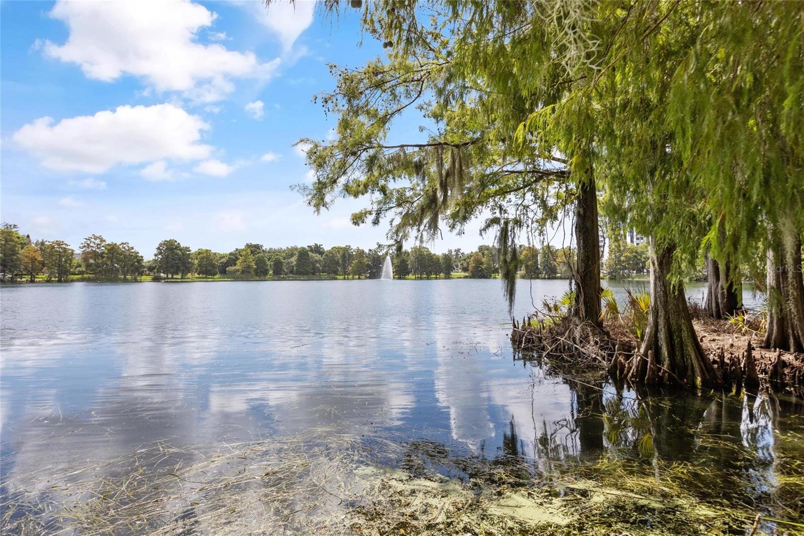 266 PARK LAKE ST #19, ORLANDO, FL, 32803