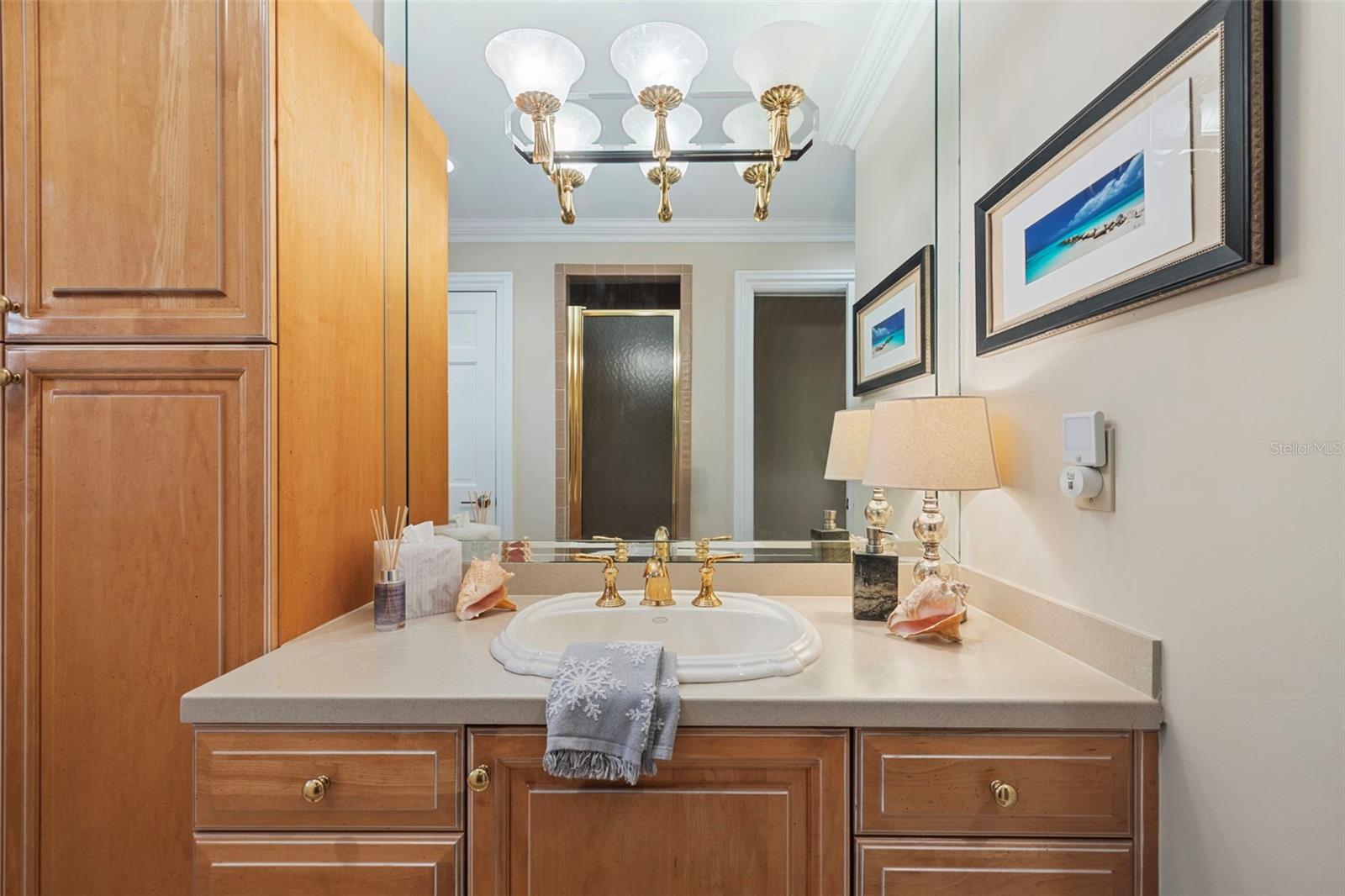 18707 PEPPER PIKE, LUTZ, FL, 33558