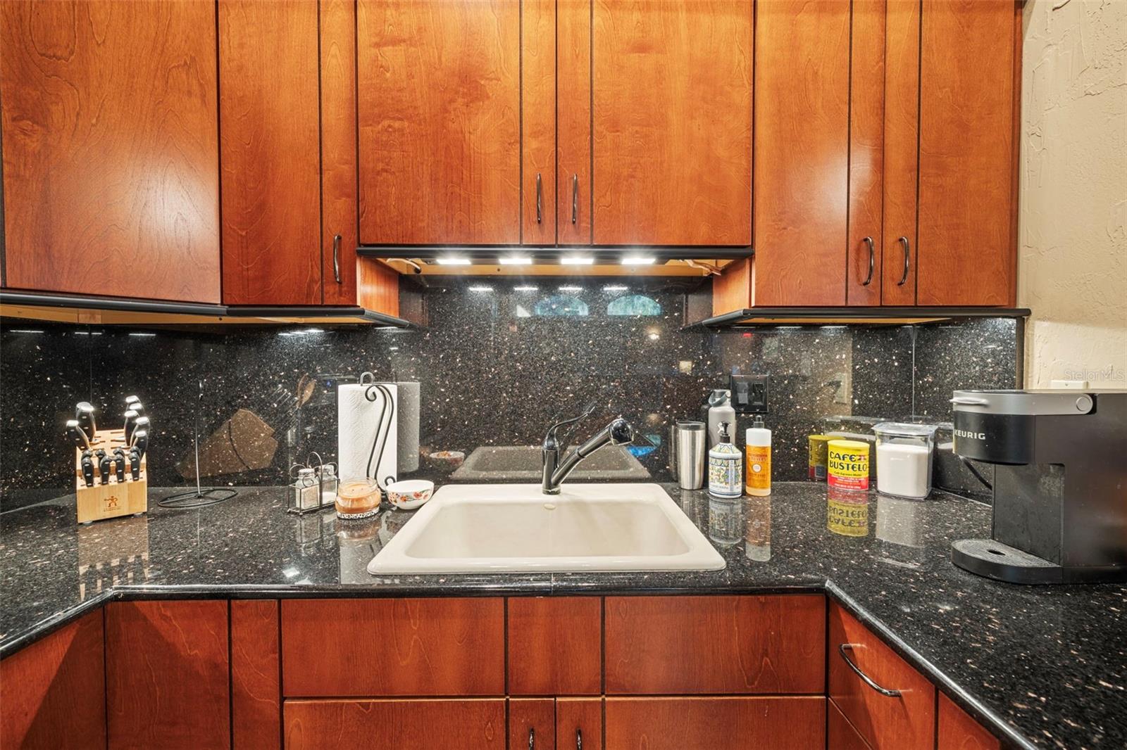 18707 PEPPER PIKE, LUTZ, FL, 33558