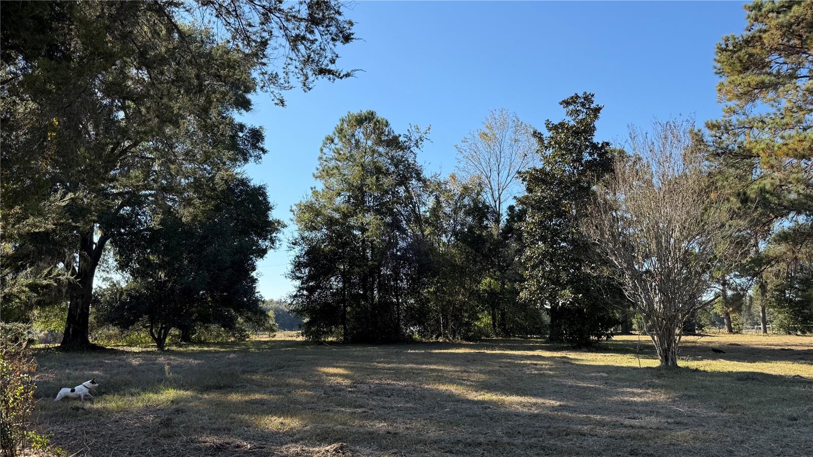 16508 NW 192ND PL, WILLISTON, FL, 32696