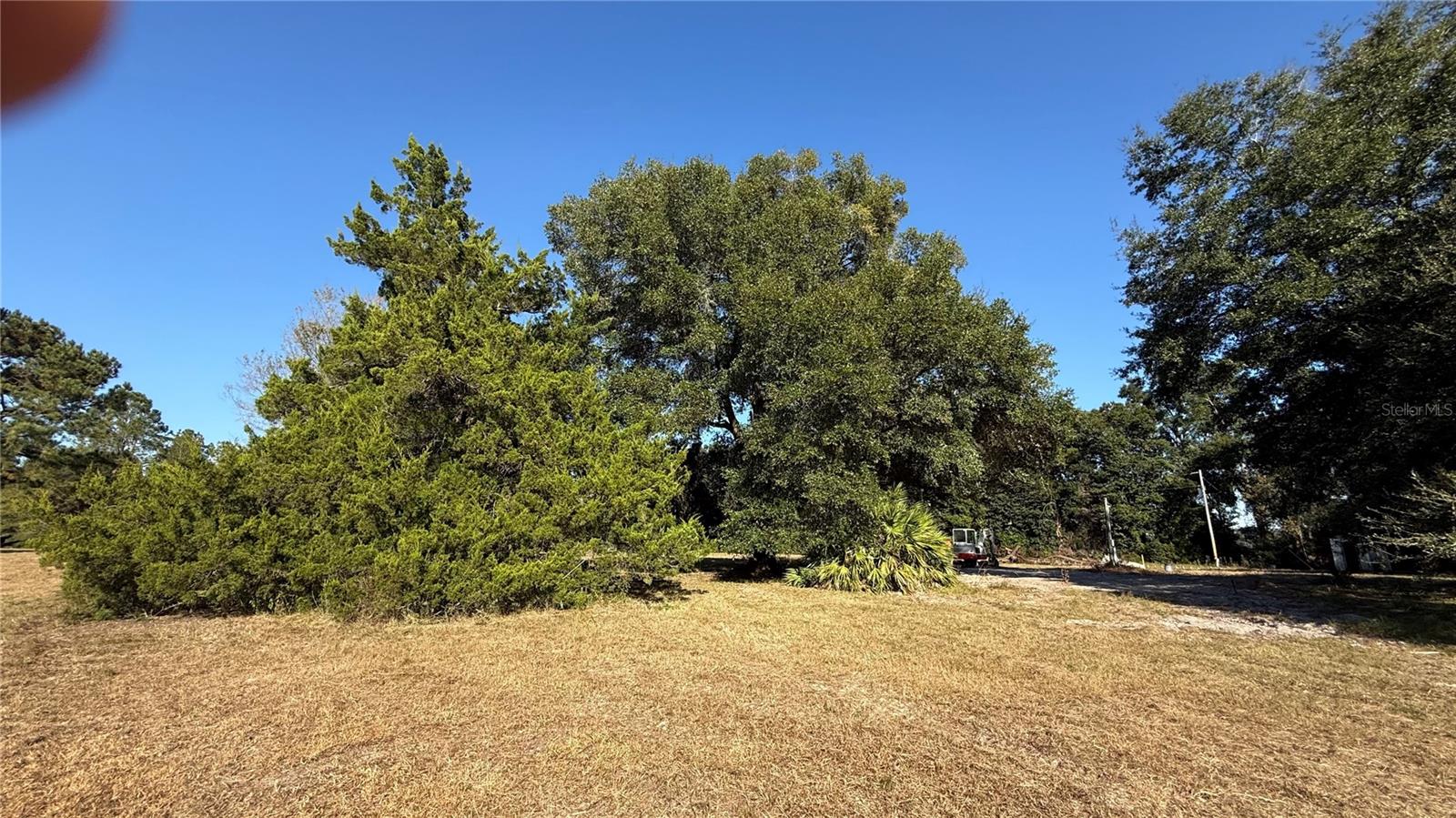 16508 NW 192ND PL, WILLISTON, FL, 32696