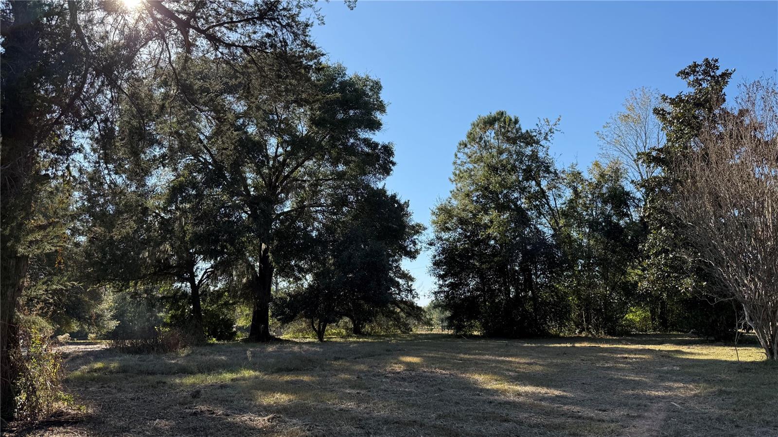 16508 NW 192ND PL, WILLISTON, FL, 32696