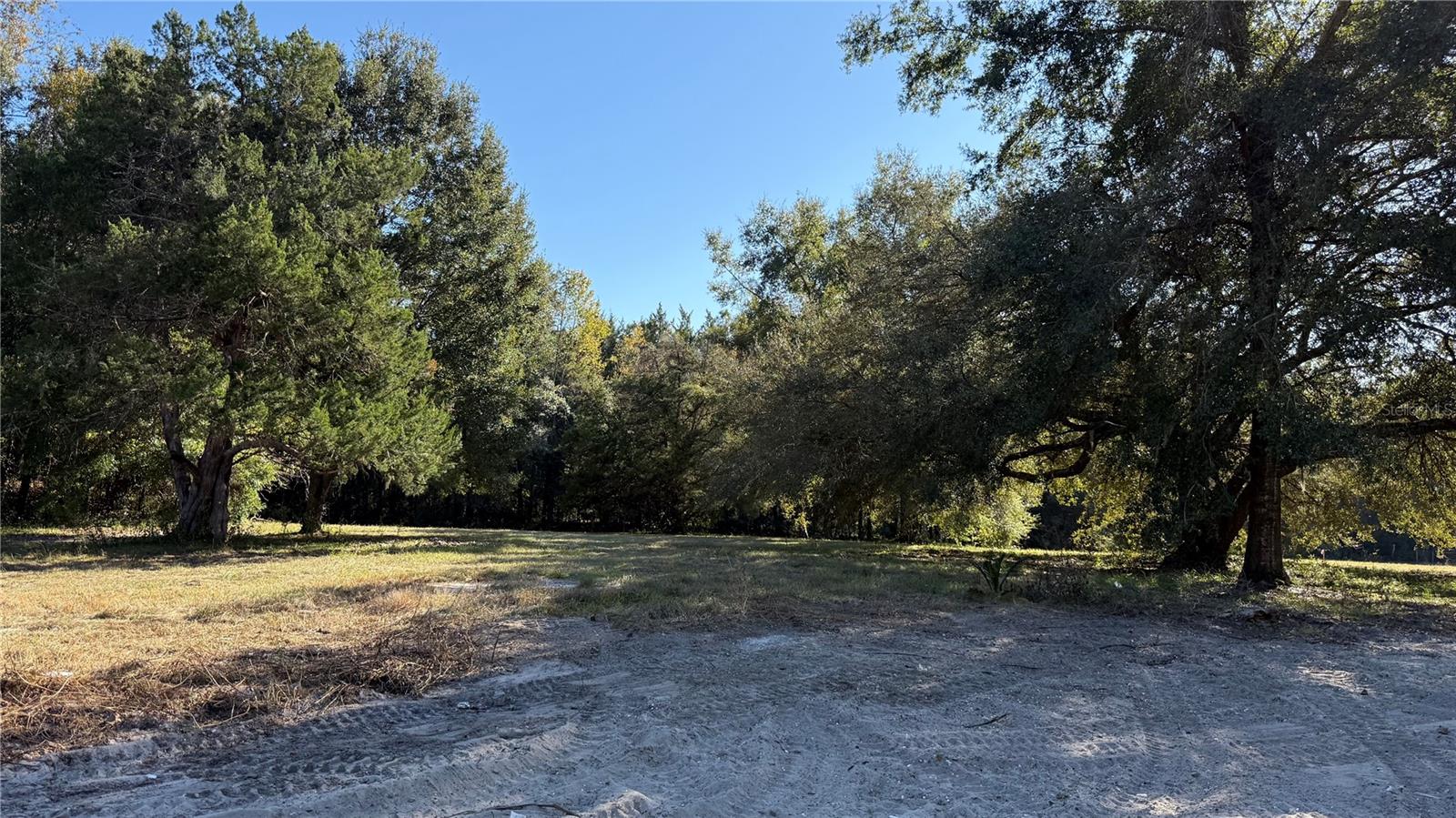 16508 NW 192ND PL, WILLISTON, FL, 32696