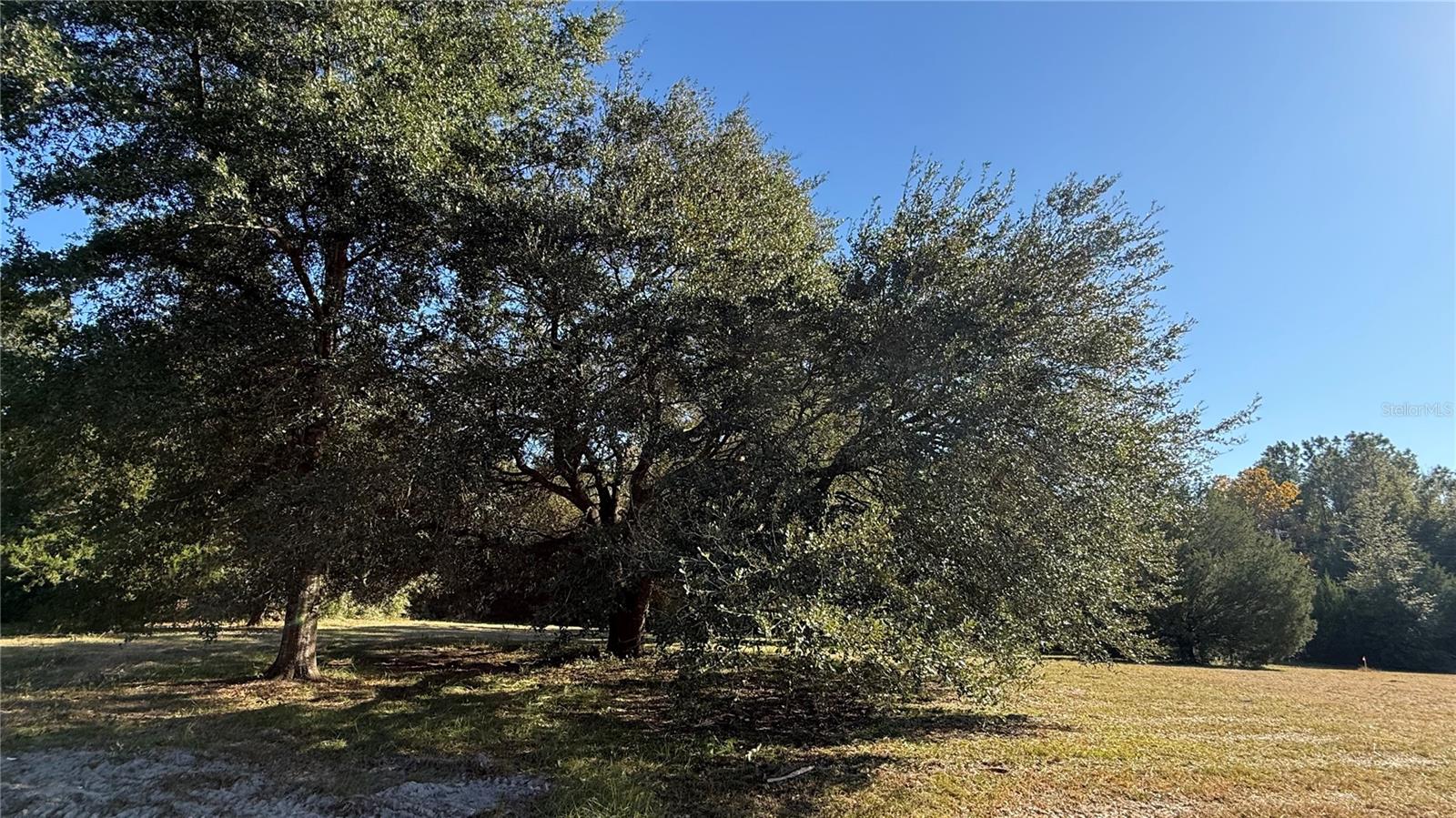 16508 NW 192ND PL, WILLISTON, FL, 32696