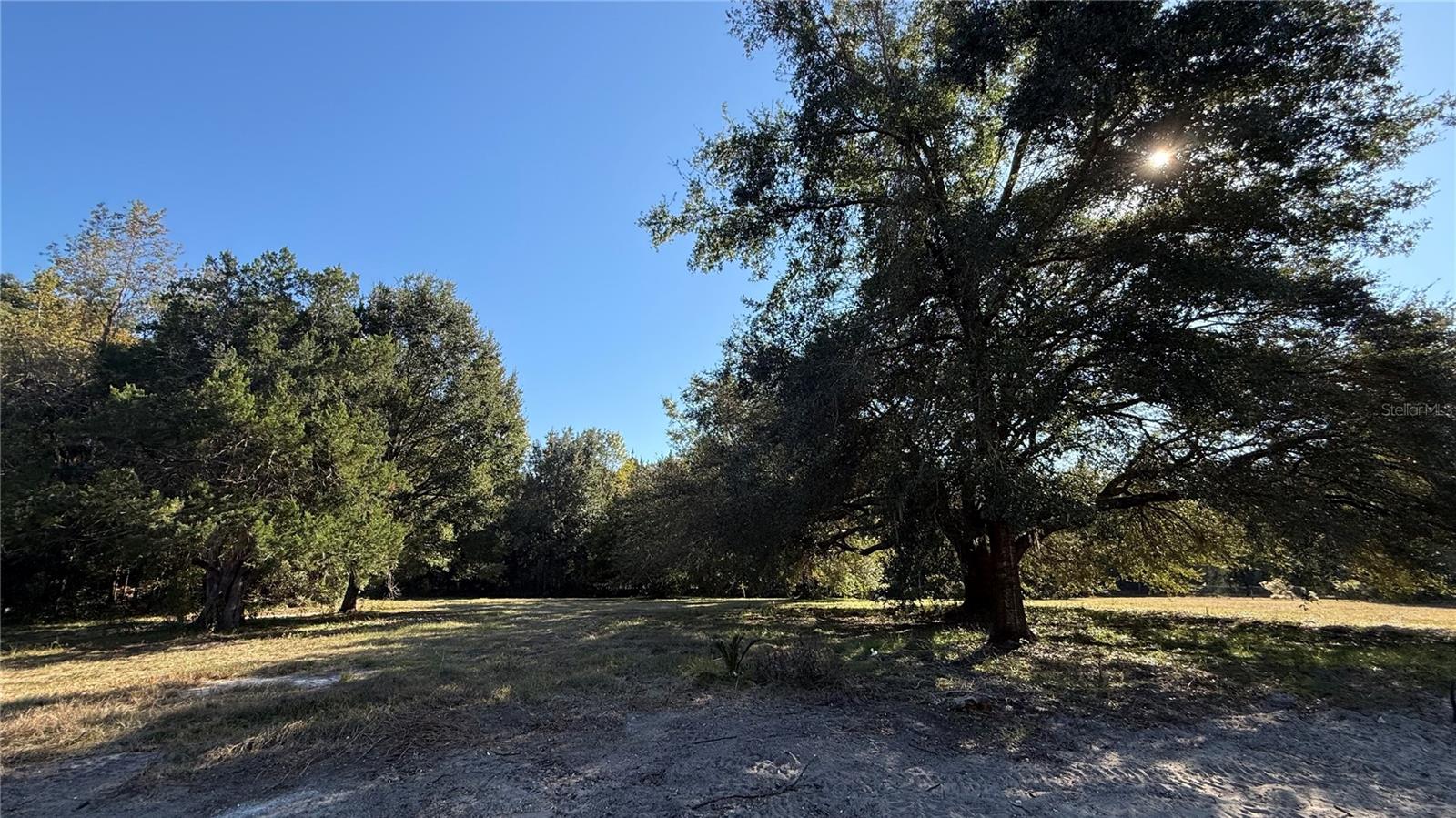 16508 NW 192ND PL, WILLISTON, FL, 32696