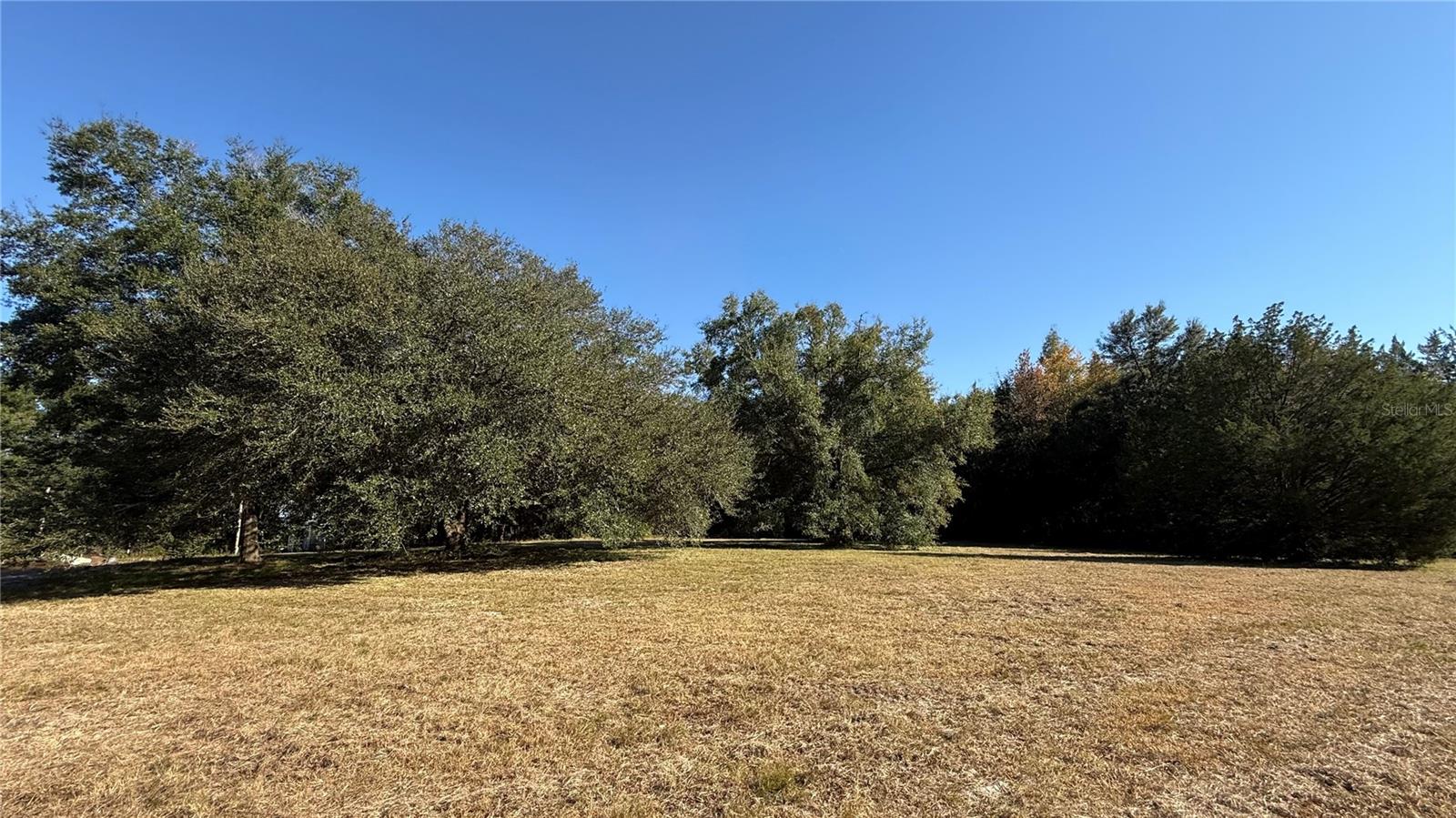 16508 NW 192ND PL, WILLISTON, FL, 32696