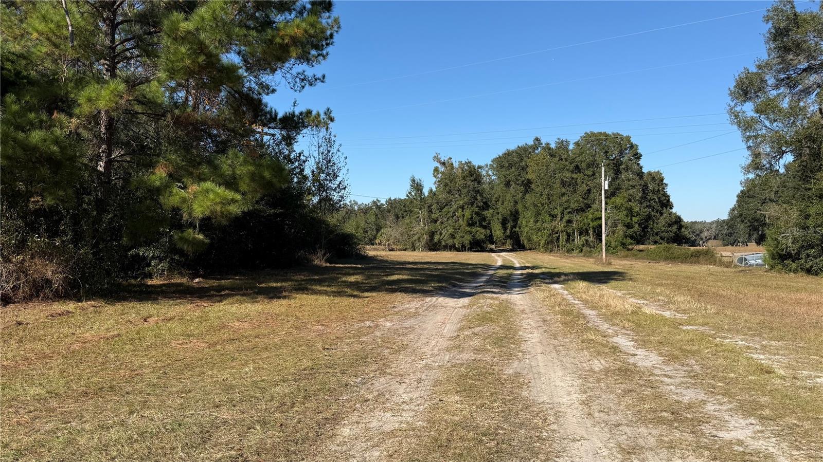 16508 NW 192ND PL, WILLISTON, FL, 32696