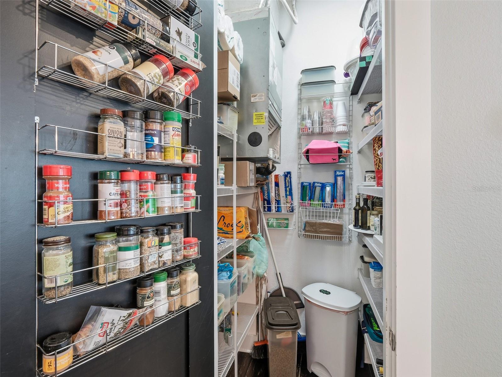 119 FAULKNER ST, NEW SMYRNA BEACH, FL, 32168