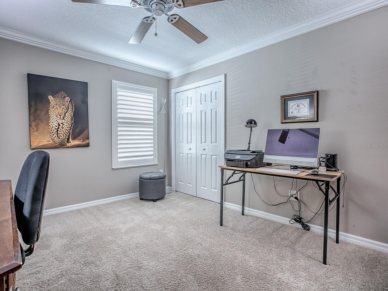 3632 UKULELE ST, THE VILLAGES, FL, 32163