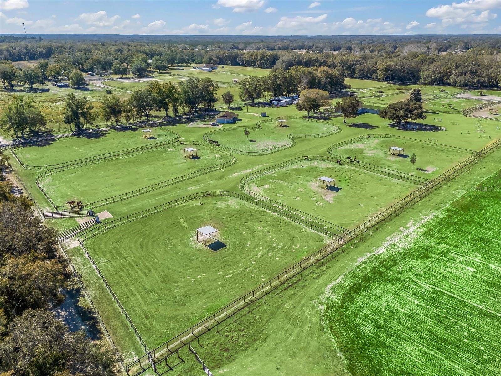 250 NE 195TH AVE, WILLISTON, FL, 32696