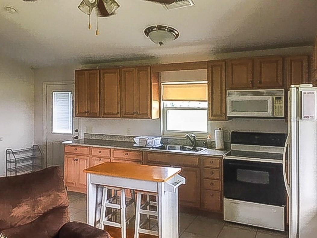 250 NE 195TH AVE, WILLISTON, FL, 32696