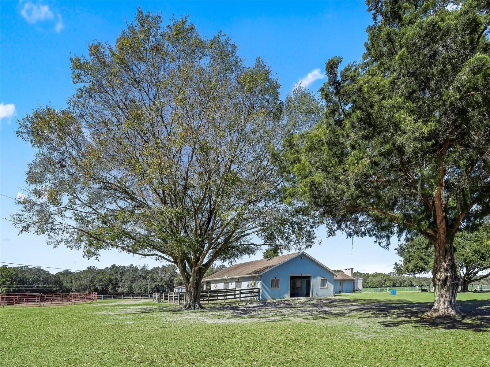 250 NE 195TH AVE, WILLISTON, FL, 32696
