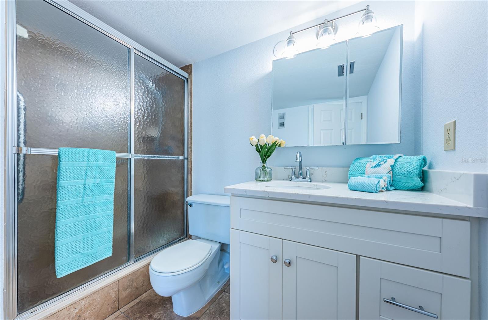 7420 BAY ISLAND DR S #171, SOUTH PASADENA, FL, 33707