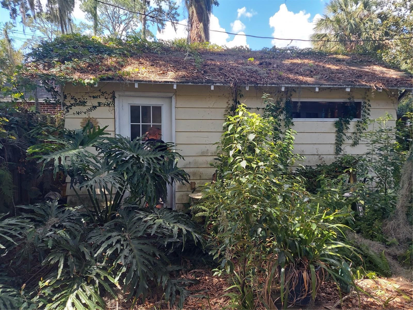 516 NE 8TH AVE, GAINESVILLE, FL, 32601