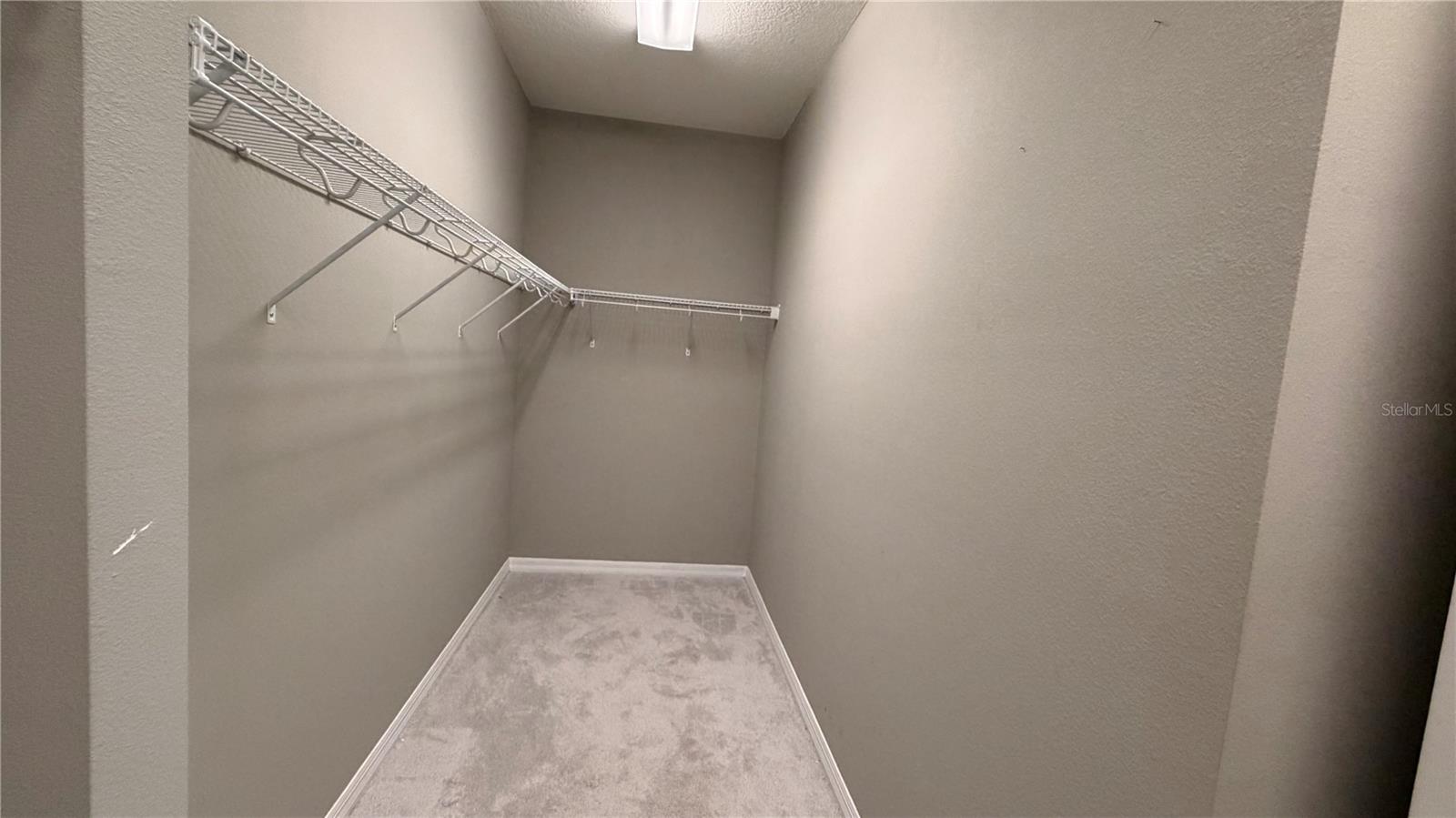 14542 BLACK QUILL DR, WINTER GARDEN, FL, 34787