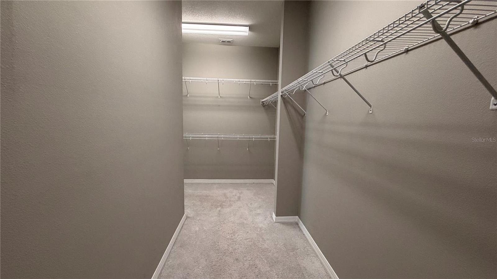 14542 BLACK QUILL DR, WINTER GARDEN, FL, 34787