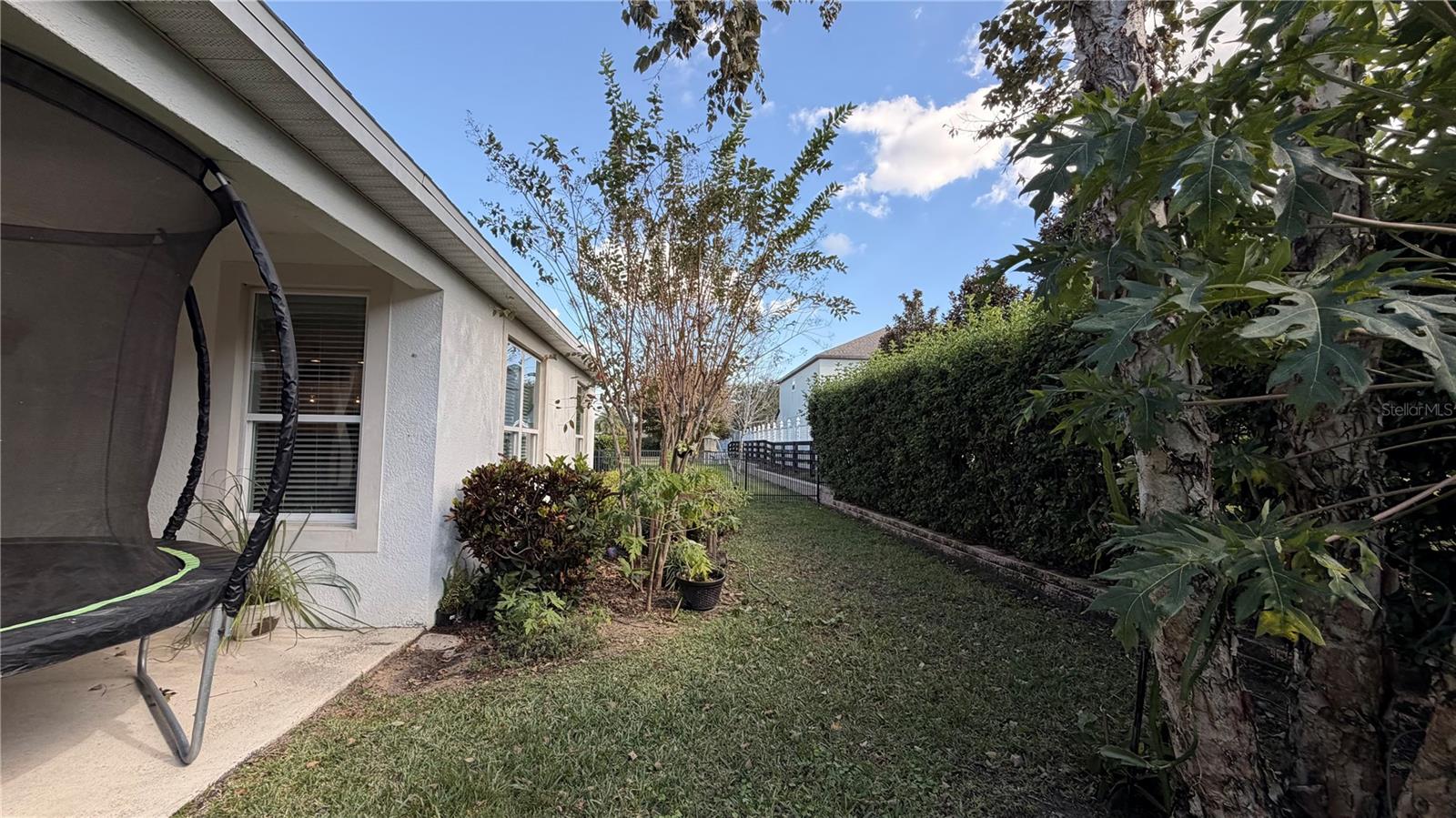 14542 BLACK QUILL DR, WINTER GARDEN, FL, 34787