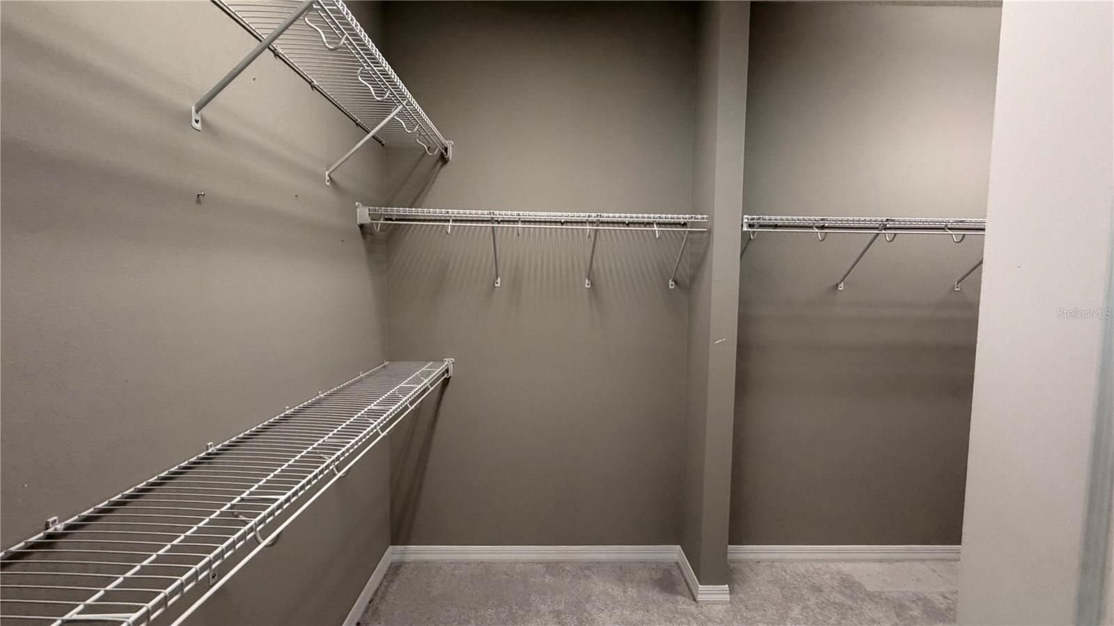 14542 BLACK QUILL DR, WINTER GARDEN, FL, 34787