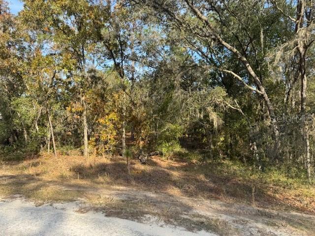 00 SW 136TH TER, DUNNELLON, FL, 34432