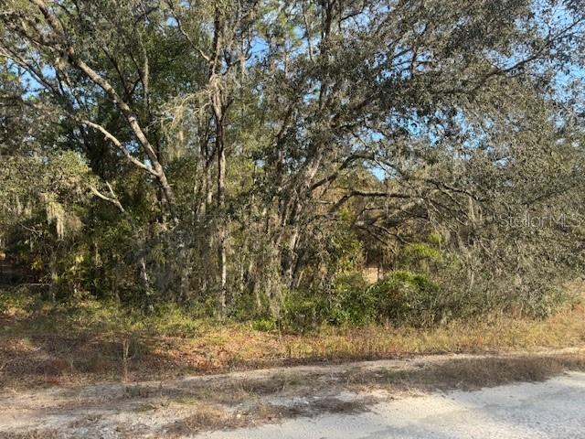 00 SW 136TH TER, DUNNELLON, FL, 34432