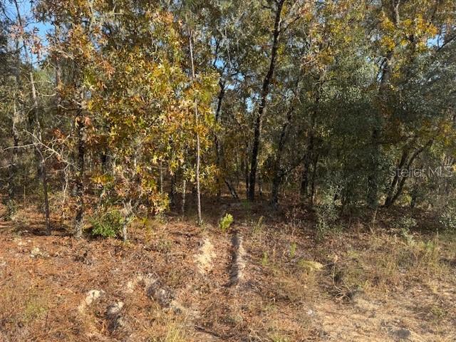 00 SW 136TH TER, DUNNELLON, FL, 34432