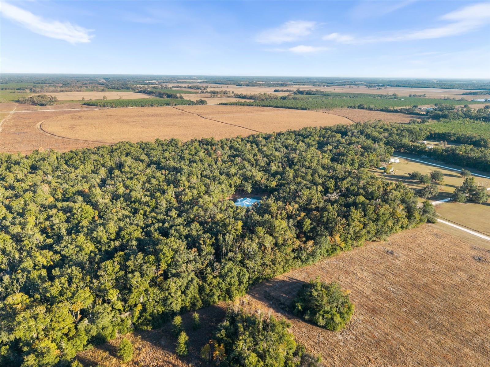 11492 217TH RD, LIVE OAK, FL, 32060