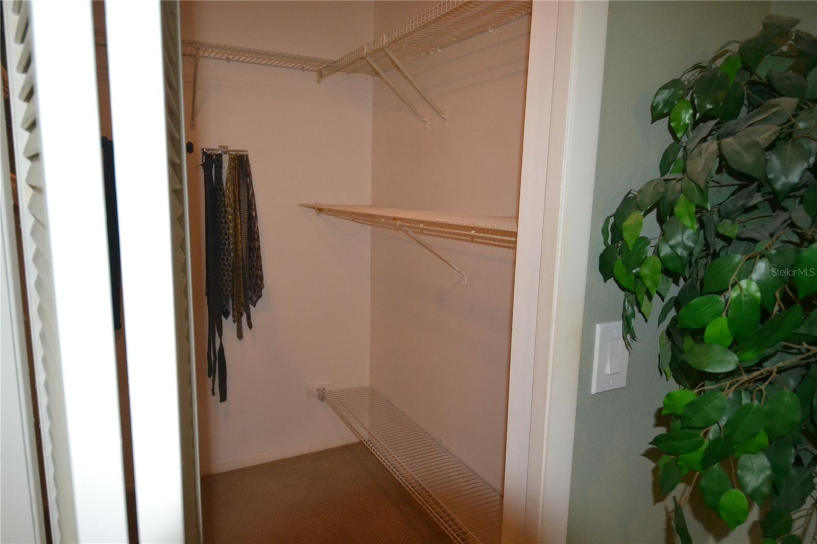 3276 BUCKHORN DR, CLEARWATER, FL, 33761