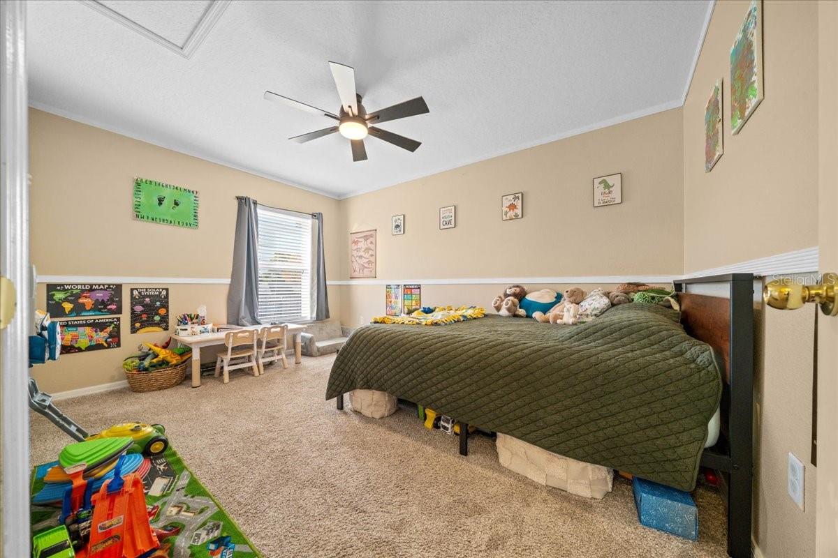 49 HEMLOCK RADIAL LOOP, OCALA, FL, 34472