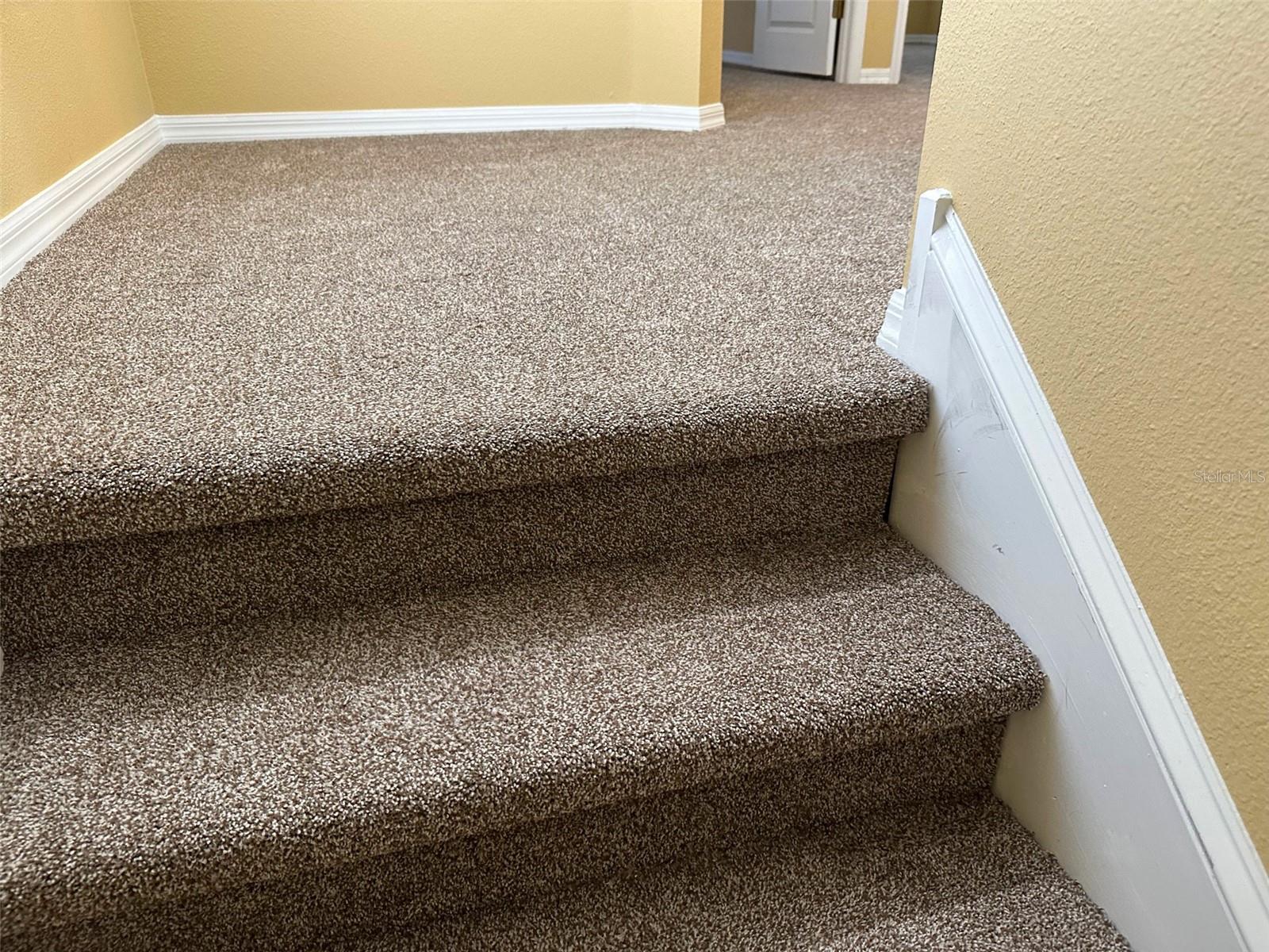 11801 CASTINE ST, NEW PORT RICHEY, FL, 34654