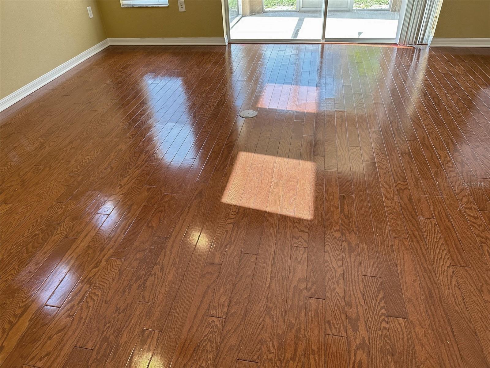 11801 CASTINE ST, NEW PORT RICHEY, FL, 34654