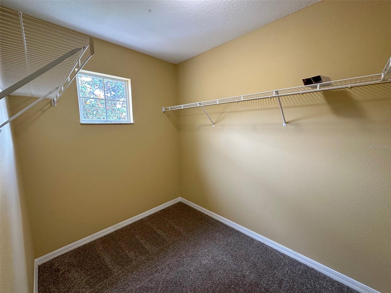 11801 CASTINE ST, NEW PORT RICHEY, FL, 34654