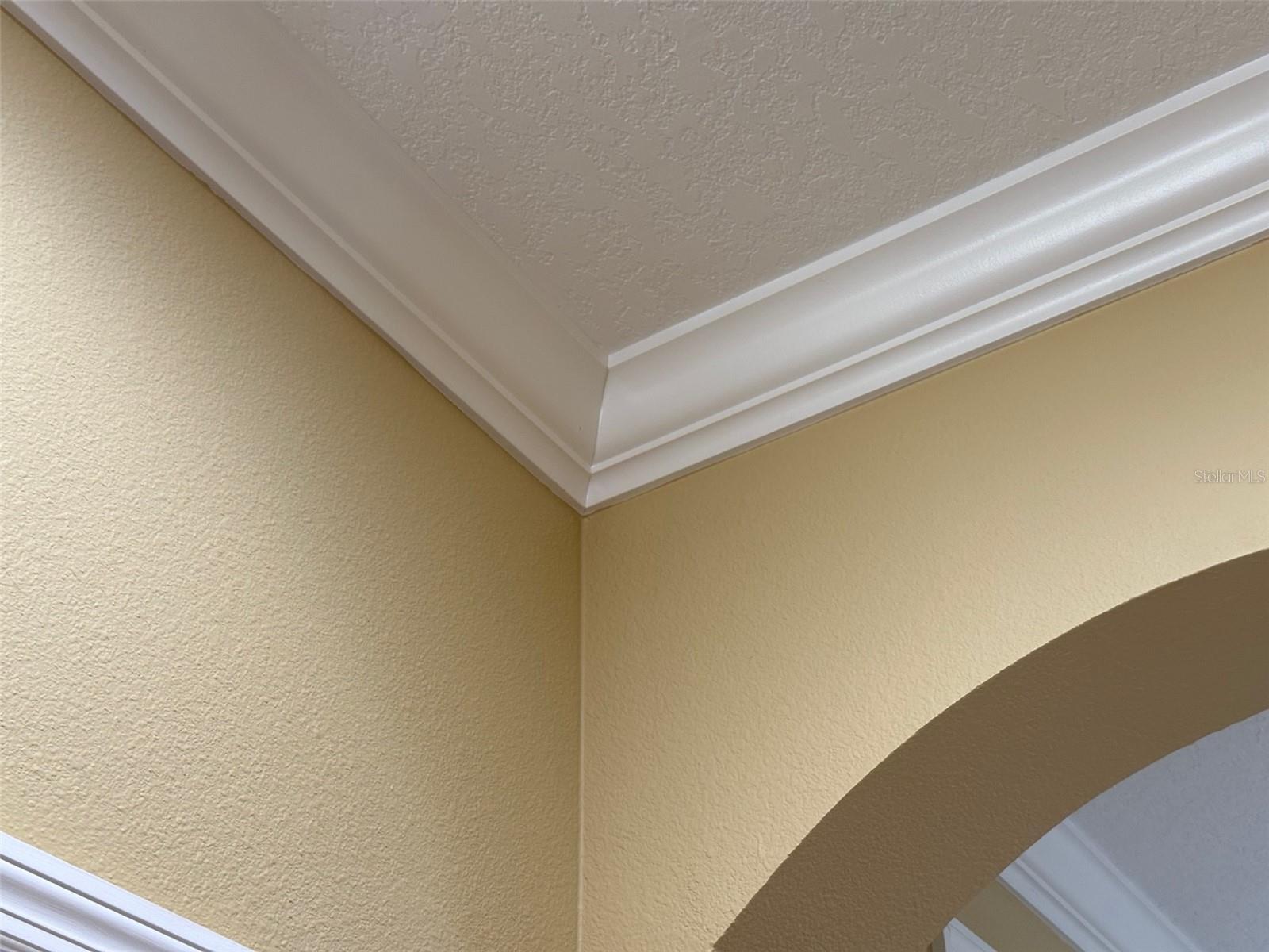 11801 CASTINE ST, NEW PORT RICHEY, FL, 34654