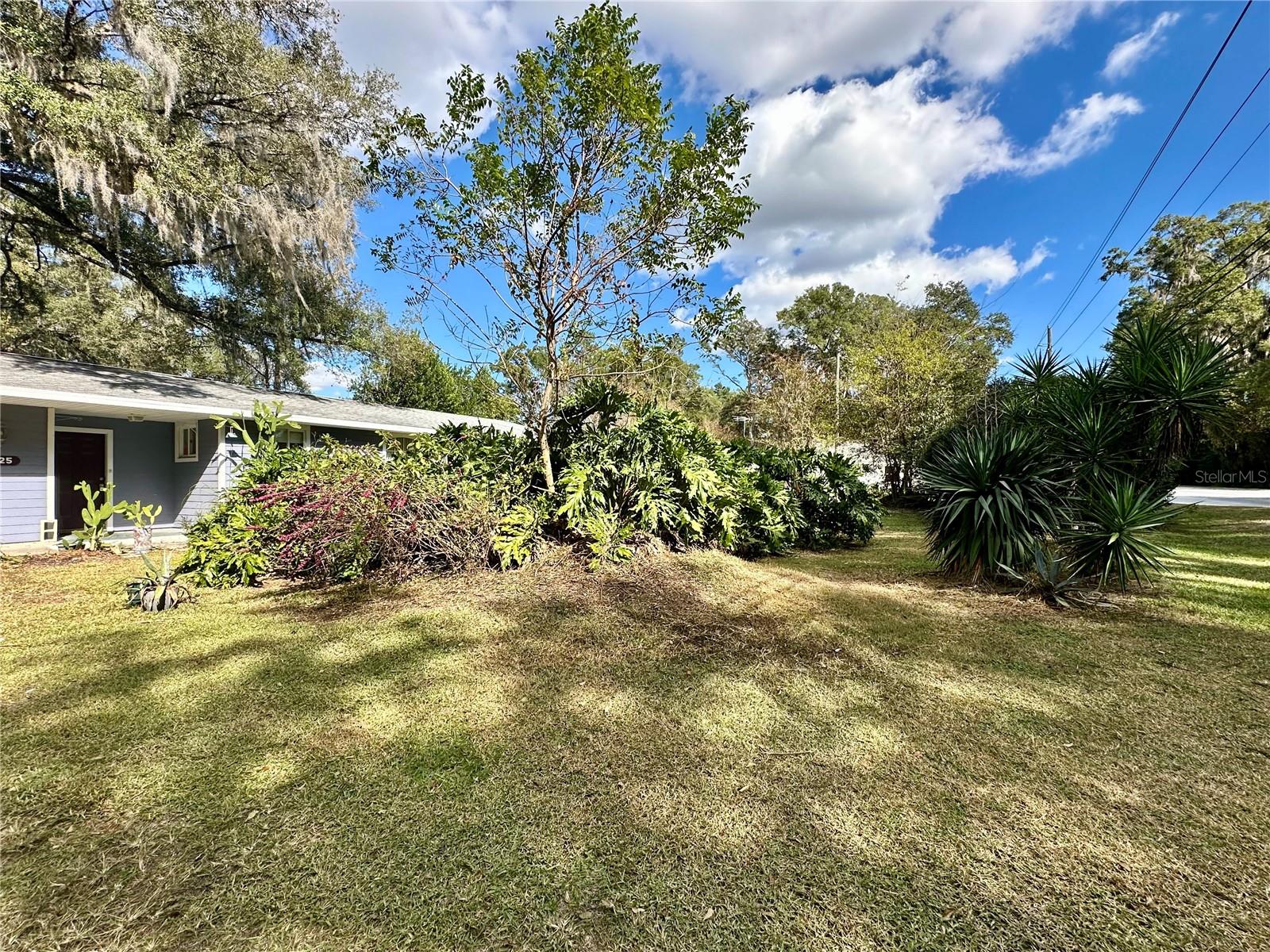 3825 SE 145TH ST, SUMMERFIELD, FL, 34491