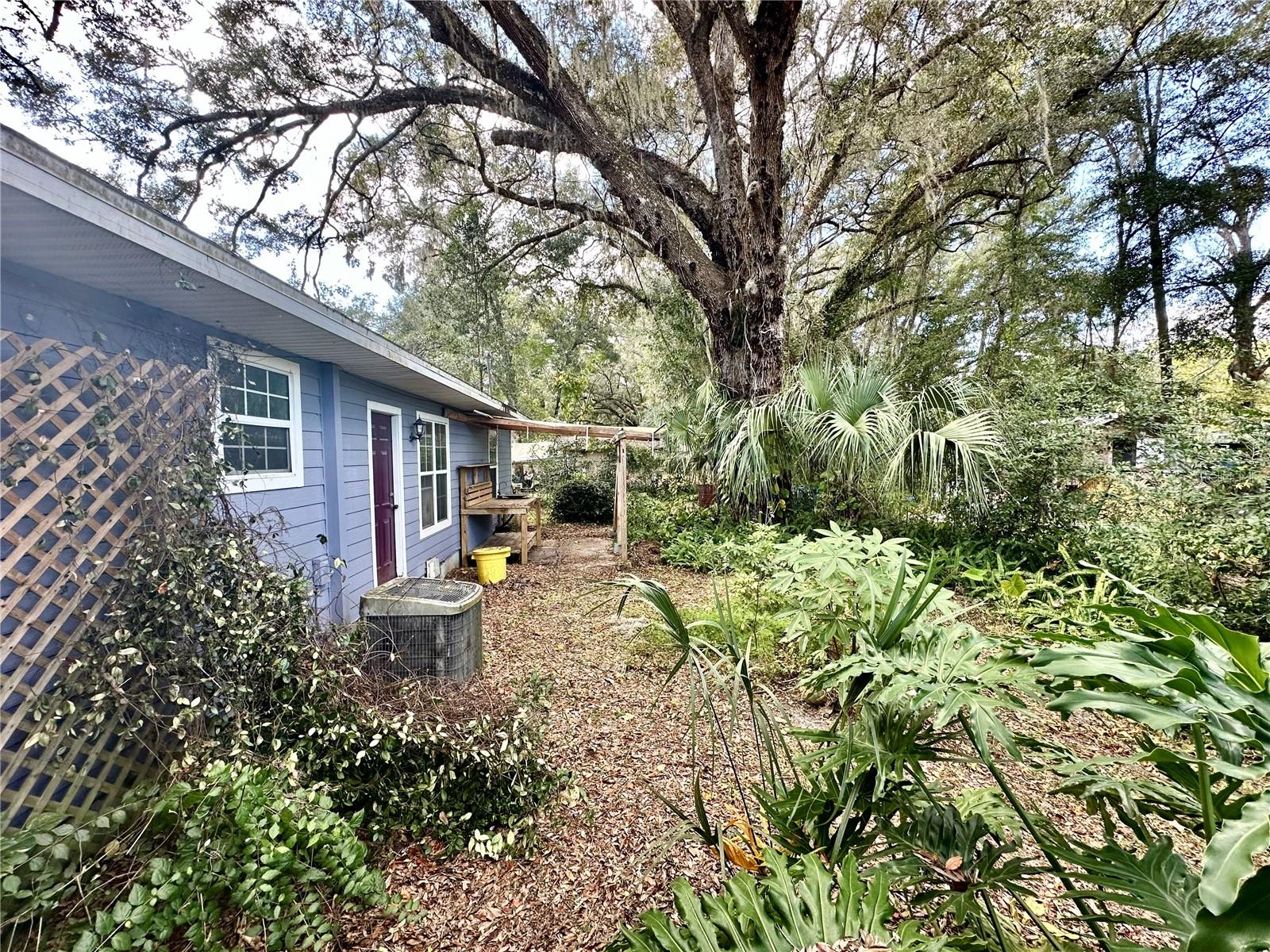 3825 SE 145TH ST, SUMMERFIELD, FL, 34491