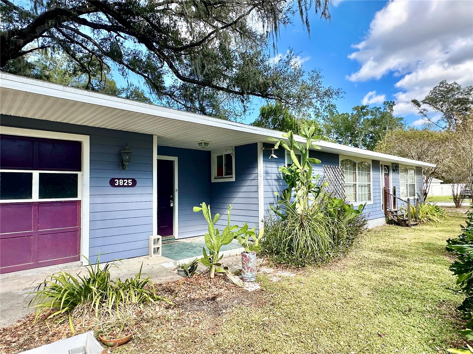 3825 SE 145TH ST, SUMMERFIELD, FL, 34491