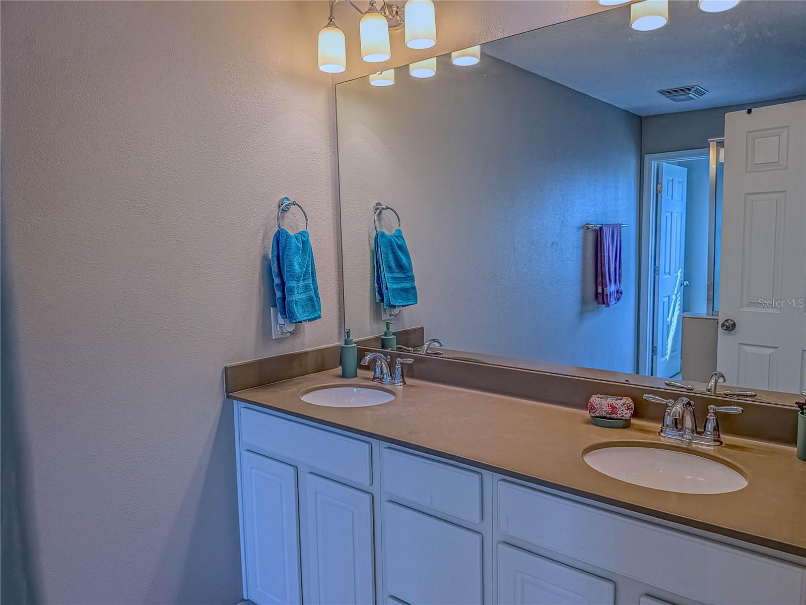 3593 BRIGHTON PARK CIR, BELLE ISLE, FL, 32812