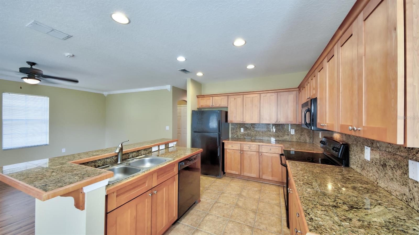 16238 BRIDGEWALK DR, LITHIA, FL, 33547