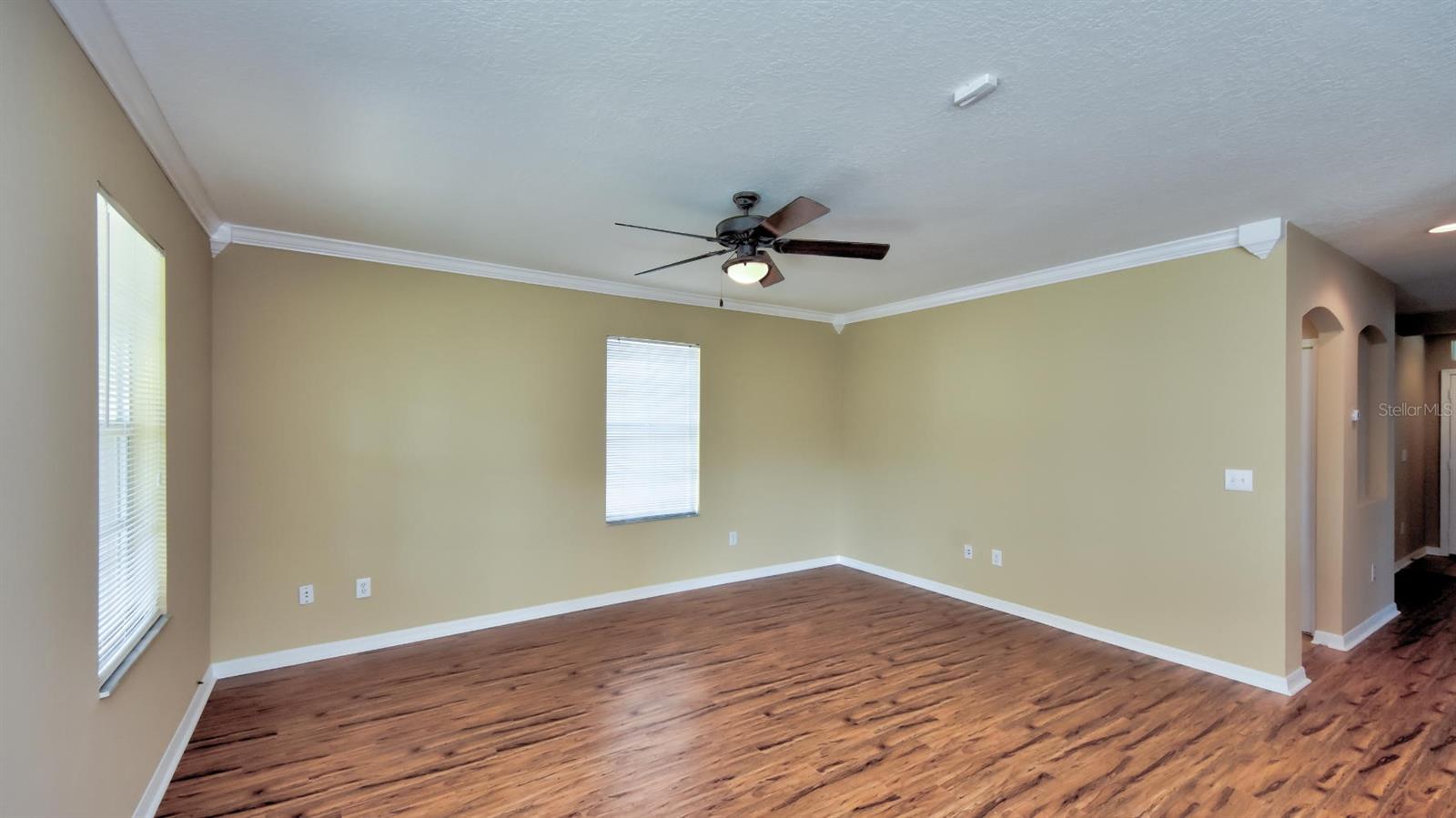 16238 BRIDGEWALK DR, LITHIA, FL, 33547