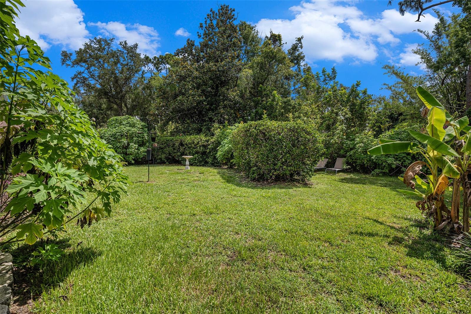 3335 FOXRIDGE CIR, TAMPA, FL, 33618