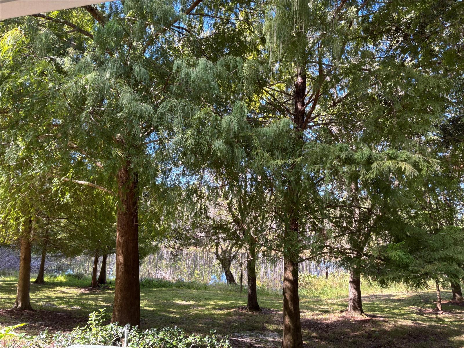 870 VINELAND PL, LAKE MARY, FL, 32746